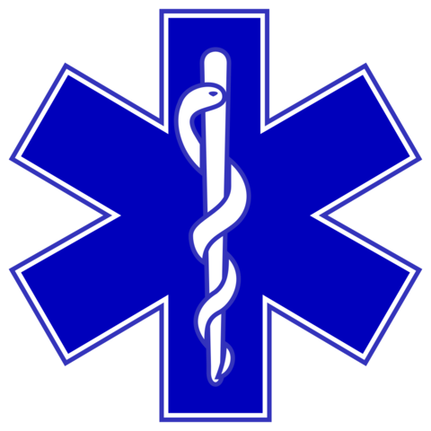 Kalpana Logo 2 (2)